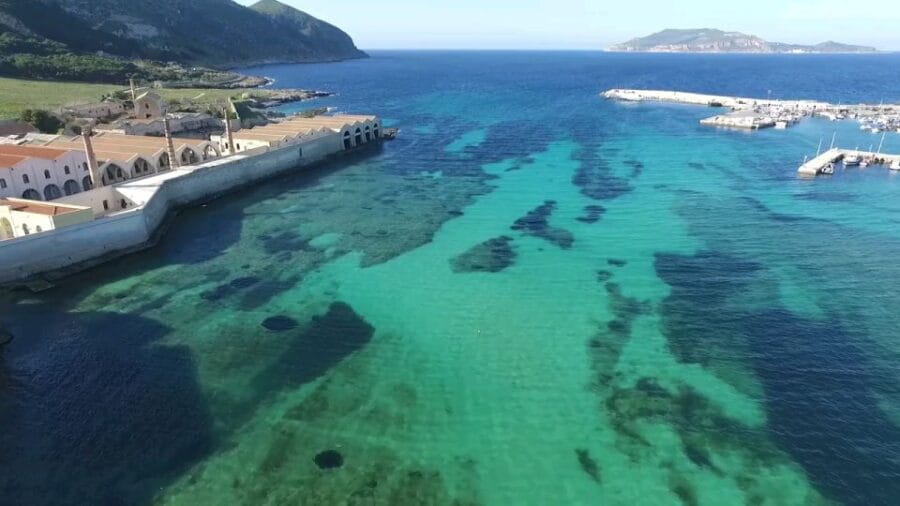 From Trapani: Day Cruise to Favignana & Levanzo with Lunch - Who Is This Cruise Best For?