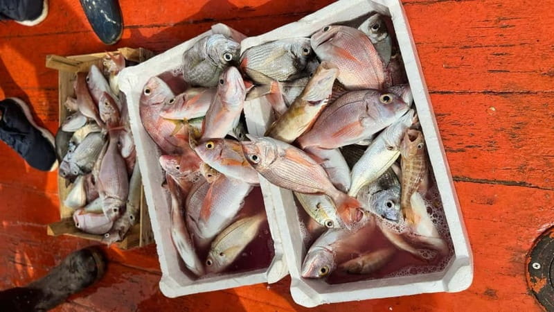 From Trapani: Egadi Islands Full-Day Fishing Trip with Lunch - Traditional Fishing: Hands-On and Authentic