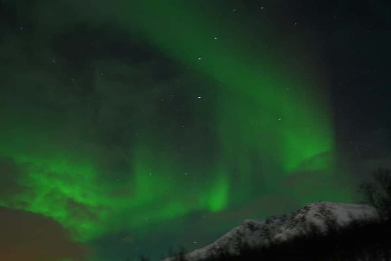 From Tromsø: Aurora Bus Tour with Snacks, Photos, and Drinks - Deep Dive into the Experience