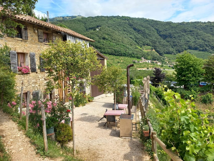 From Venice and Treviso: Prosecco Hills Wine and Food Tour - Introduction to the Prosecco Hills Experience