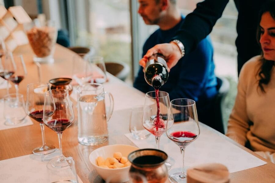 From Verona: Valpolicella and Amarone Wine Tasting Tour - First Winery Visit: A Blend of Production and Palate Pleasures