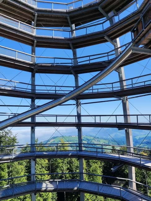 From Vienna: Hallstatt and Treetop Path Private Day Trip - Who Will Love This Trip?