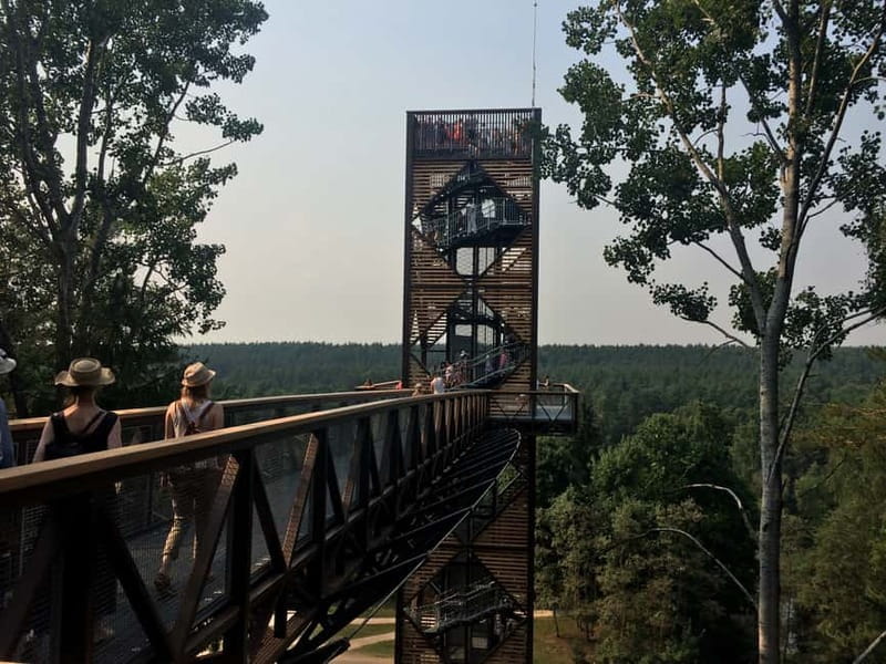 From Vilnius: Anykiai & The Hill of Crosses Day Trip - Picking Up From Vilnius: Starting Your Day