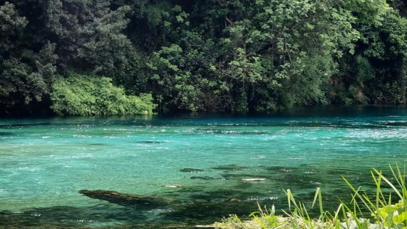 From Vlorë: Gjirokaster and Blue Eye Day Trip - Entering Albania’s Stone City: Gjirokastër’s Charm and Character
