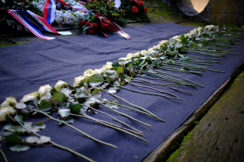 From Zagreb: WWII and Jasenovac Concentration Camp Day Tour - Who This Tour Is Best For