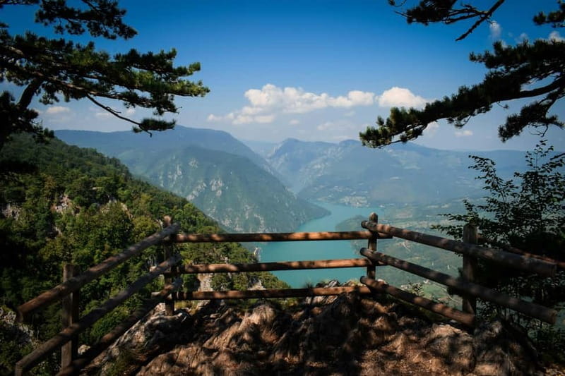 From Zlatibor/Uice: Tara National Park - Private Tour - Hiking Janja Peak: A High Point with a View