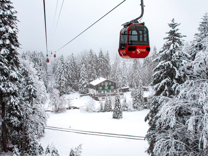 From Zurich: Pilatus & Lucerne with Cruise Private Day Trip - About the Price and Overall Value