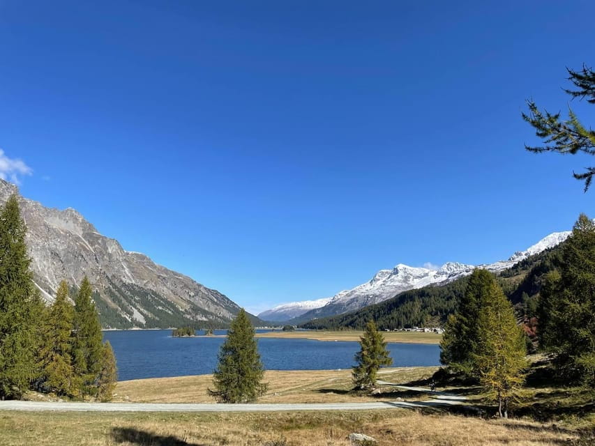 From Zurich: Private Day Trip to St. Moritz - The Highlights of St. Moritz