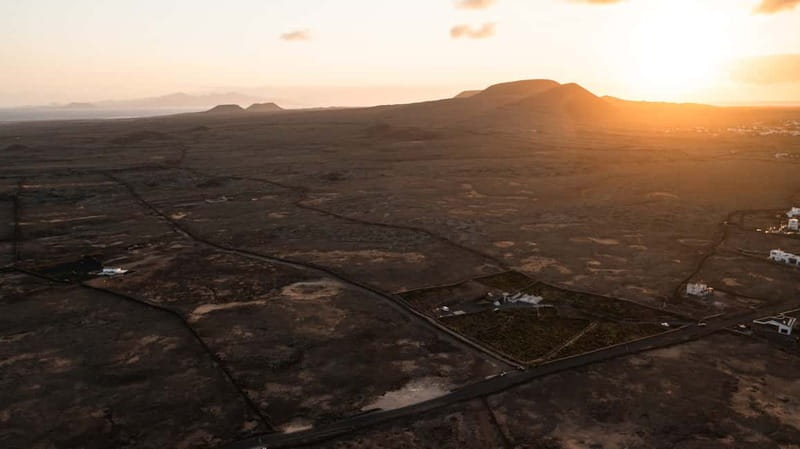 Fuerteventura: Tour & tasting at Conatvs Winery - Discovering Fuerteventura’s Unique Vineyard Scene