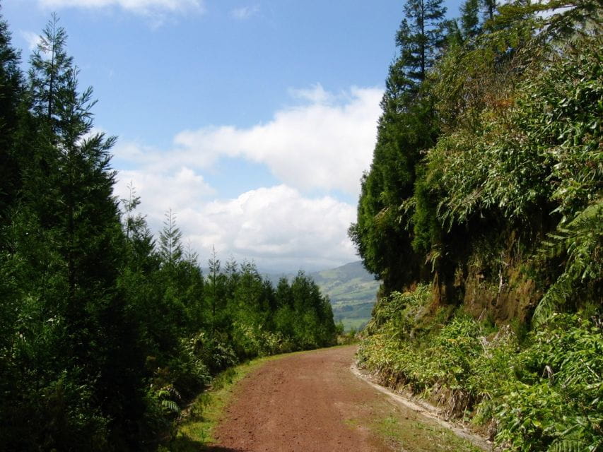 Full-Day 4x4 Nordeste Azores Tour from Ponta Delgada - Key points / Takeaways