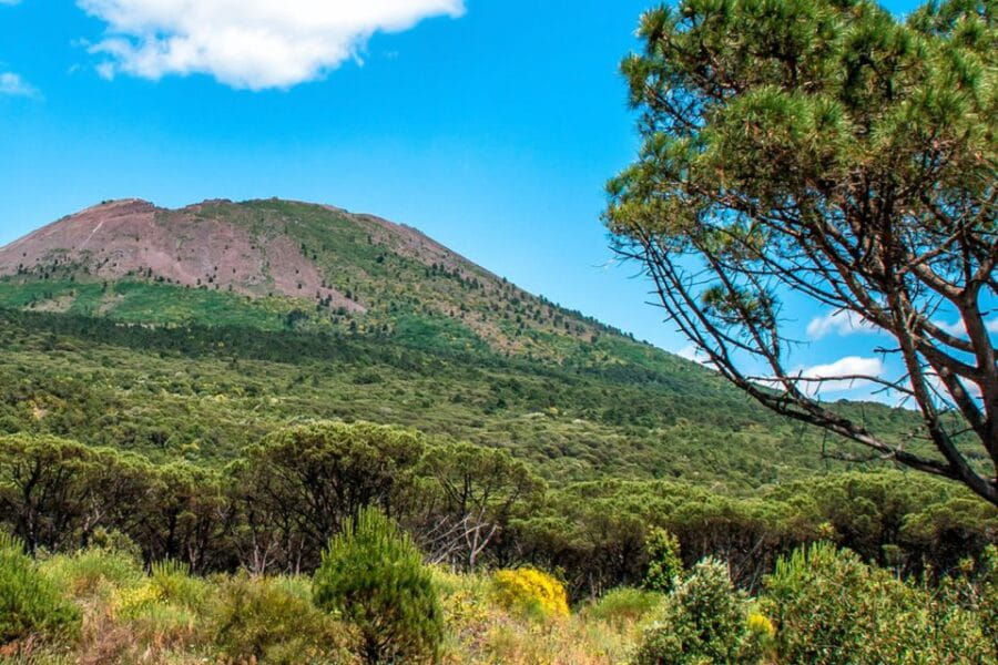 Full-day from Naples: Pompeii & Vesuvius with Italian Lunch - Climbing Vesuvius: An Exciting Ascent with Spectacular Rewards