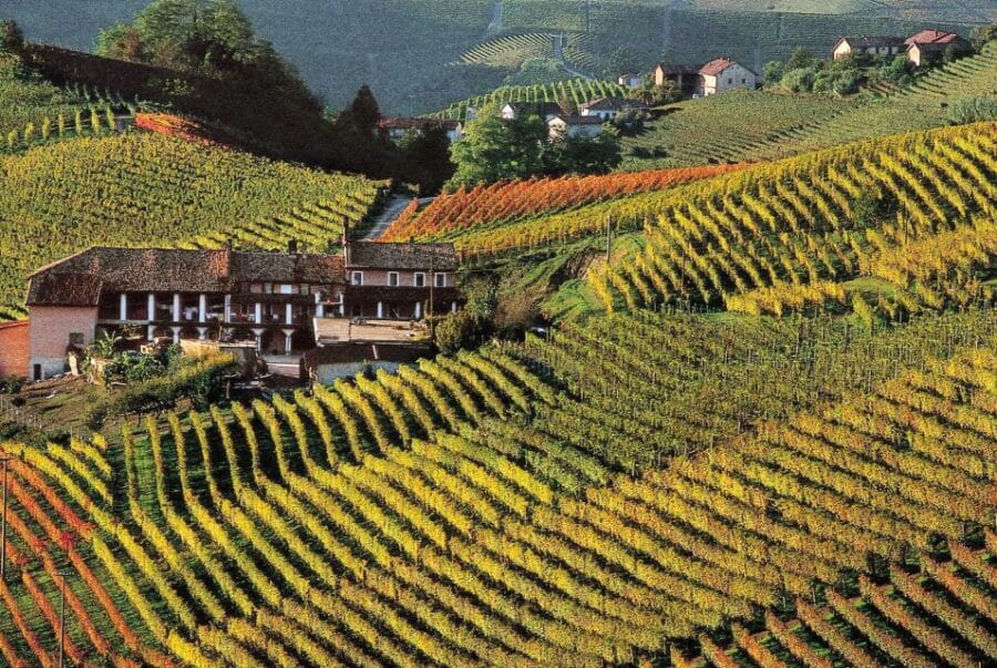 Full-Day Langhe Region Tour with Wine Tasting Experience - The Perfect Pairing: Food and Wine in a Picturesque Setting