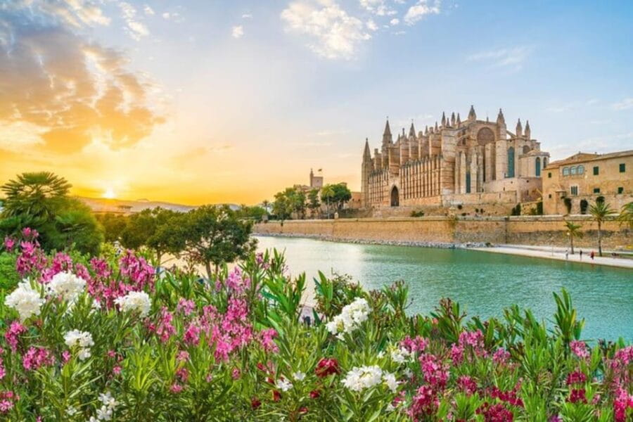 Full Day Private Shore Tour in Palma de Mallorca from Port - Castell de Bellver: The highlight of the tour