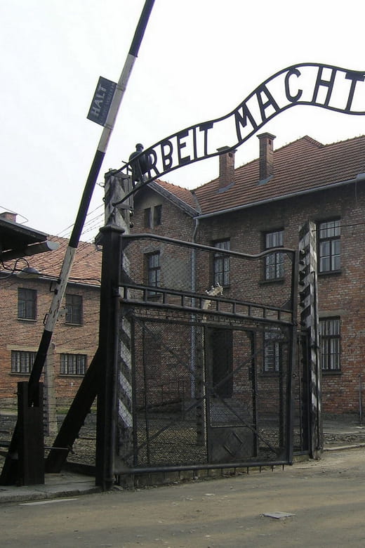 Full-Day Private Trip from Prague to Auschwitz - Birkenau - Who This Tour Is Best For