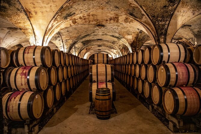 Full-Day Private Wine Tour in Côte de Beaune - Who is this tour best suited for?