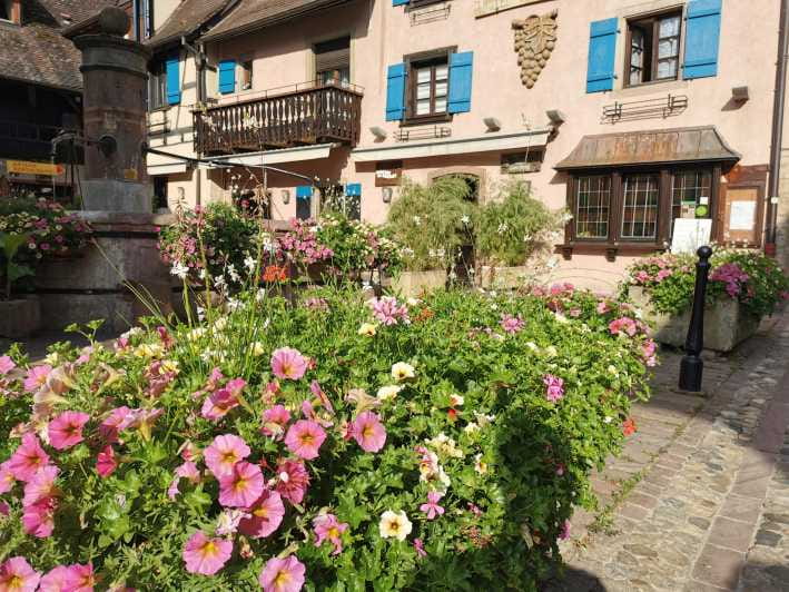 Full Day Safari Tour Villages & Vineyards Wine tasting - Who Should Book This Experience?