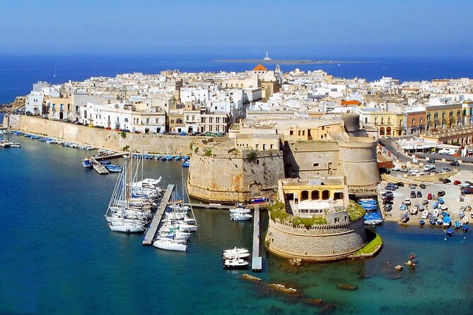 Full-day Salento Wine and Food Tour - Optional Add-Ons and Flexibility