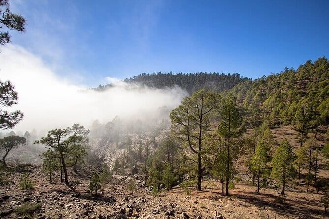 Full Day Small Group Tour to Masca and Teide From North Tenerife - Los Roques de Garcia: Iconic Rock Formations