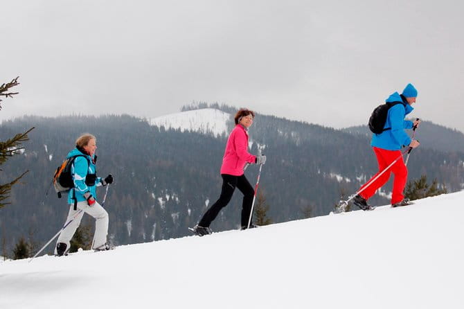 Full-Day Snowshoeing in High Tatras with Local Mountain Guide from Poprad - The Guided Trek: Exploring Untouched Snow and Mountain Trails