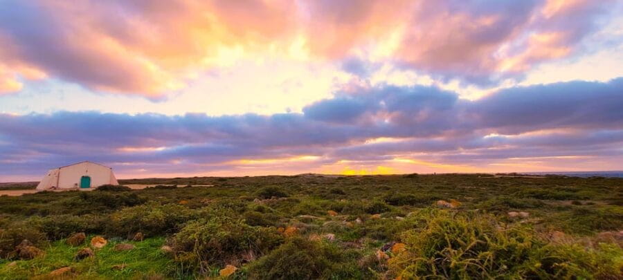 Full-Day Southwest Jeep Safari with Lunch included - Frequently Asked Questions