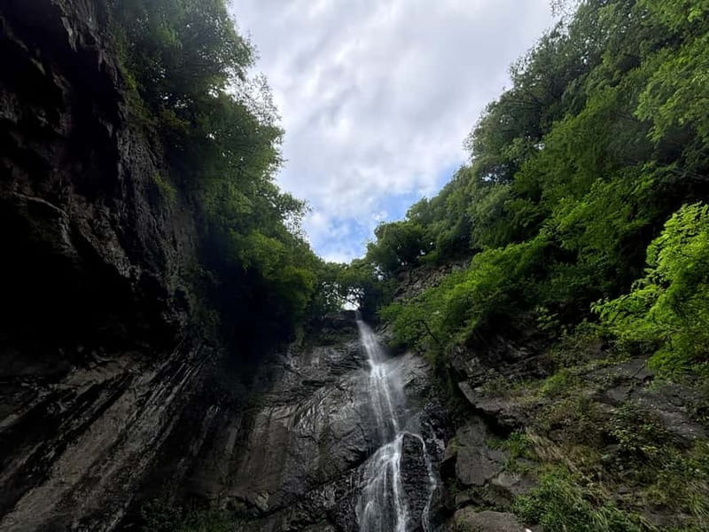 Full Day Tour from Batumi to Waterfalls - The Itinerary Breakdown: Highlights and Authentic Experiences