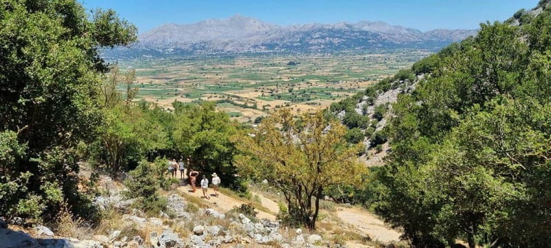 Full day tour Knossos,Zeus's land,lasithi&olive oil factory - Practical Details and What to Expect