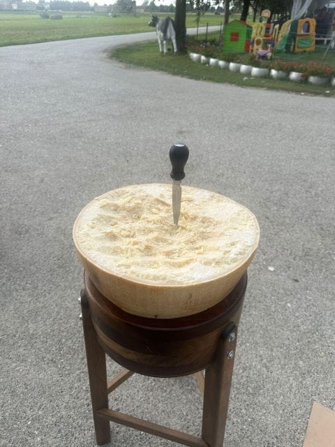 Full day tour of Ferrari,Parmesan,Vinegar, Lambrusco w/Lunch - Breaking Down the Experience