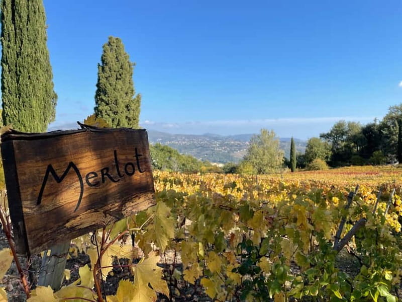 Full-Day Wine Tour in Bellet & Saint-Paul de Vence From Nice - Visiting the Award-Winning Wineries