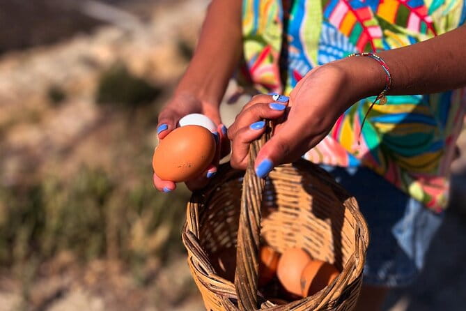 Full Haros Family Cooking Experience - Value and Logistics: Is It Worth It?