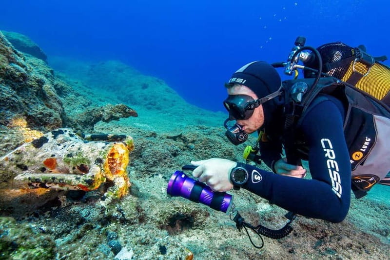 Fun Diving at Amorgos Diving Center - Discovering Amorgos Underwater World: A Complete Guide