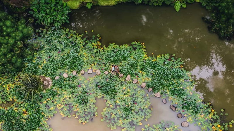 Furnas & Terra Nostra Botanic Park Tour w/Lunch + Hotsprings - Exploring Furnas Volcano and Village
