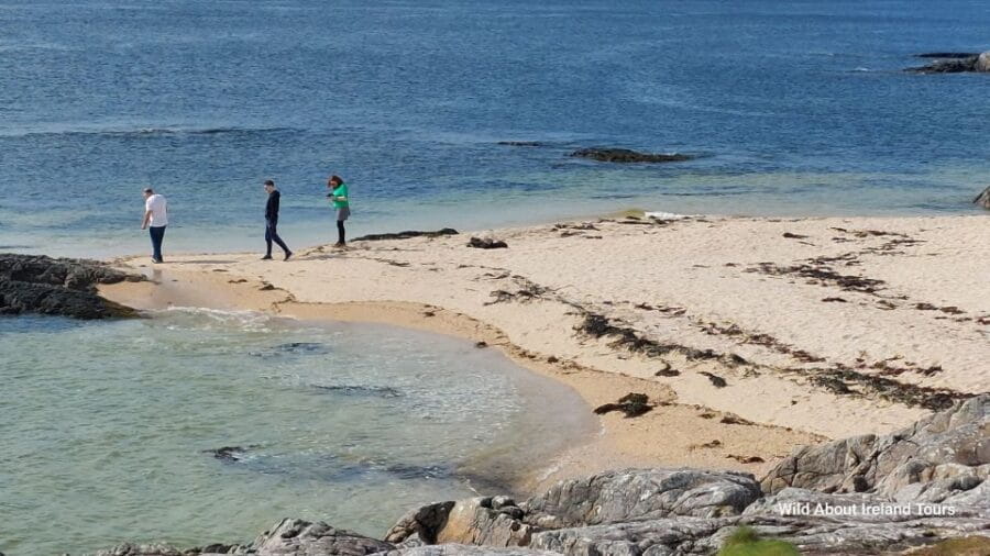 Galway: Kylemore, Sheep Farm and Connemara Private Day Tour - Discovering the Natural Beauty of Connemara