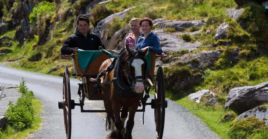 Gap of Dunloe & Lakes of Killlarney Boat Tour - Authentic Experiences Reflected in Reviews