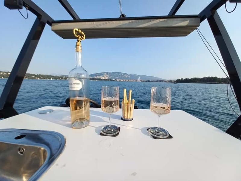GENEVA: PRIVATE 360° LAKE CRUISE WITH APERITIF - Price and Logistics: Good Value for a Special Experience