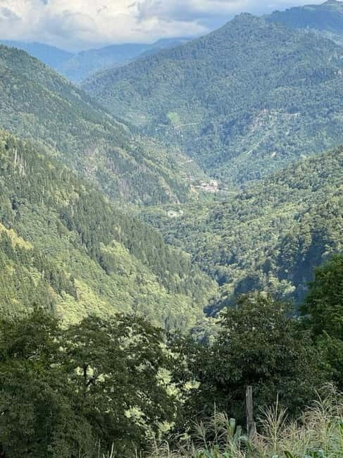 Georgia:Tbilisi, Batumi & batumi Private Tour with Guide - The Charm of Kakheti’s Wine Region