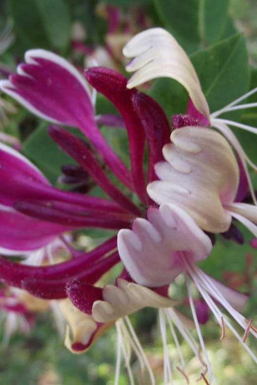 Get to know South Moravia with us. 6 hour tour. - FAQ