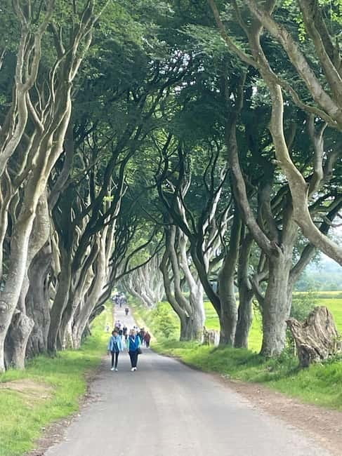 Giant's Causeway & Belfast city Private tour - The Journey Begins: From Belfast to the North Coast