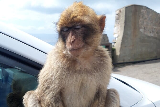 Gibraltar Sightseeing : Classic Shore Excursion (Private) - The Skywalk: A Glass-Encased Lookout