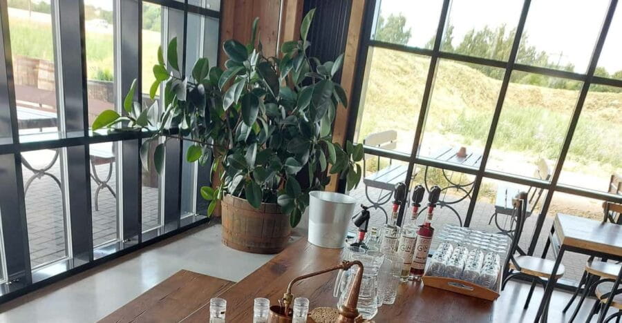 Gin experience course - Discovering the World of Gin in Mecklenburg-Vorpommern