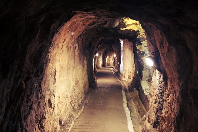 Go Tours 360° Experience in Gibraltar with Professional Guide - Why the Price Might Be Worth It