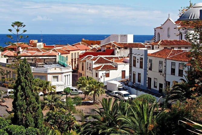 Go West - VIP Private Tour in Tenerife to Masca, Garachico and Icod - Who This Tour Is Best For