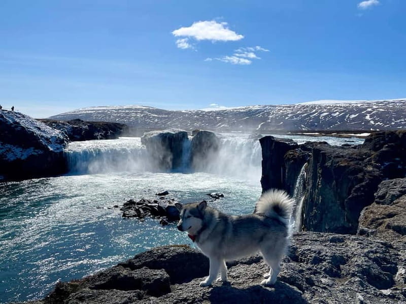 Godafoss, Laufás Museum & Akureyri Highlights Tour - Deep Dive into the Itinerary