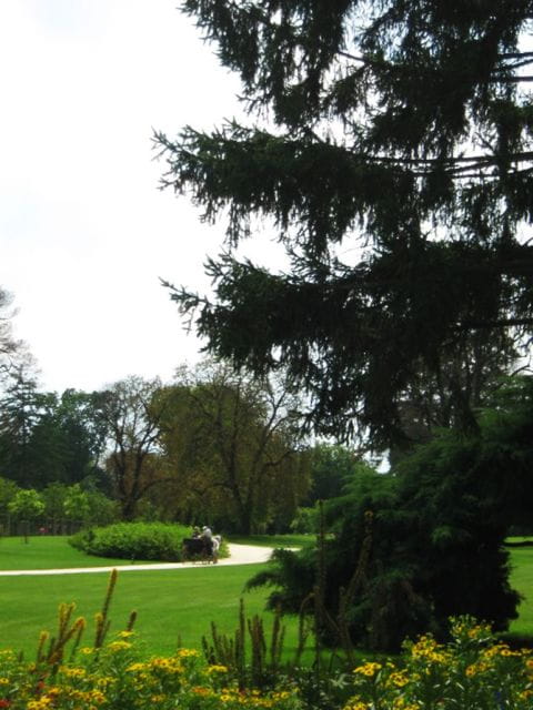 Gödöll Palace Full-Day Tour from Budapest - Exploring the Gödöllő Palace: A Detailed Review