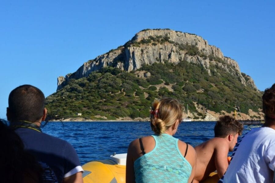 Golfo Aranci: Eco-Friendly Dolphin Watching Boat Trip - Who Will Love This Tour?
