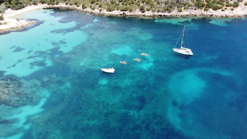 Golfo Aranci: Hydrobike Experience with Aperitif & Dolphins - The Experience: What to Expect from Start to Finish