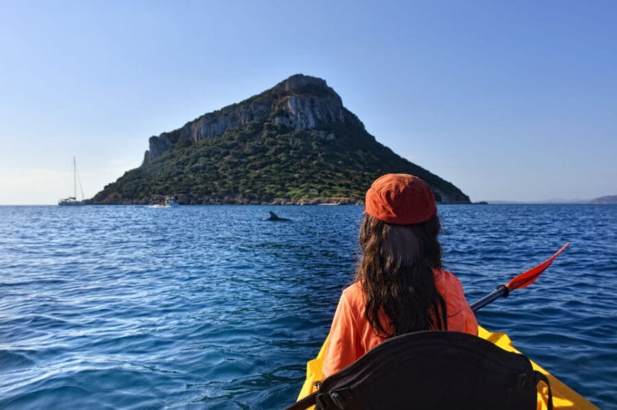 Golfo Aranci: Kayak Tour with Dolphins and Aperitif - Who Will Enjoy This Tour?