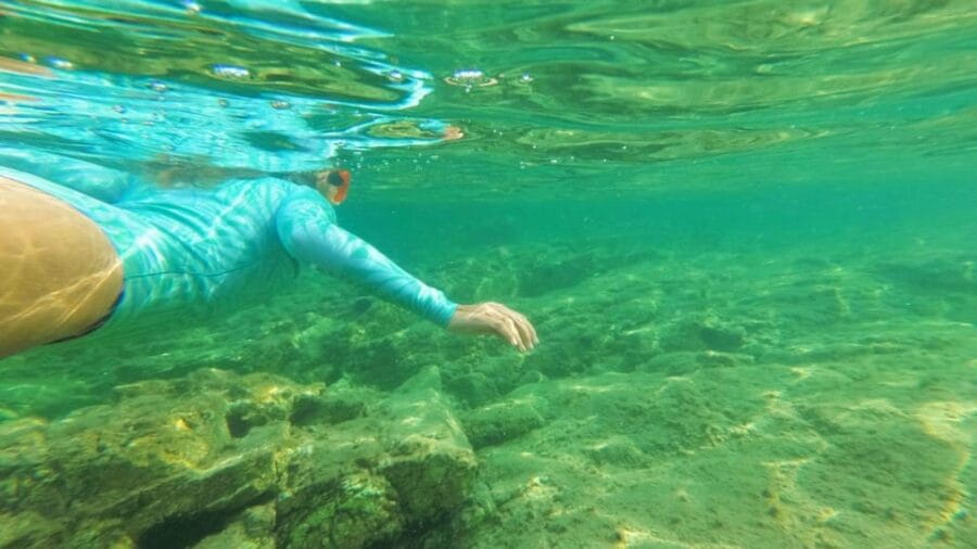 Golfo Aranci: snorkelling in Cala Moresca - The Equipment and Logistics