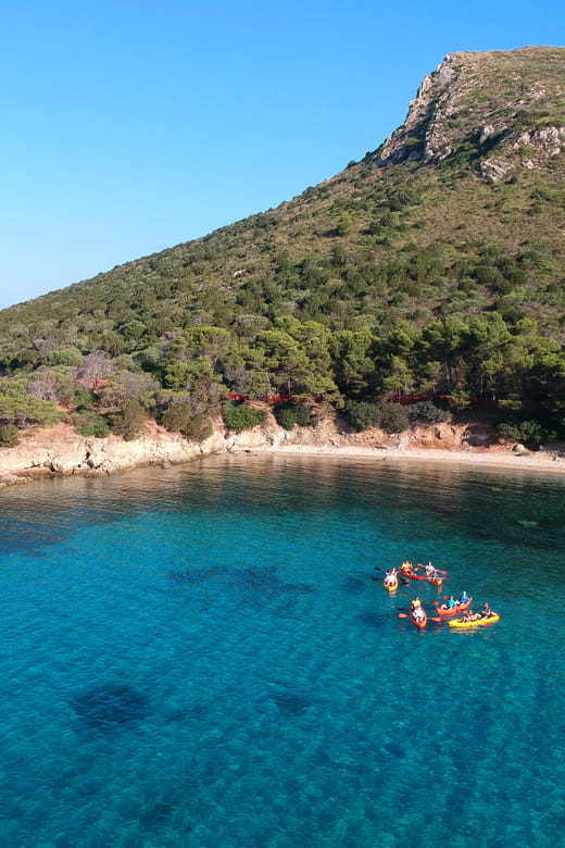 Golfo Aranci: Sunrise Dolphin Kayak Tour with Breakfast - Who this tour suits best and why