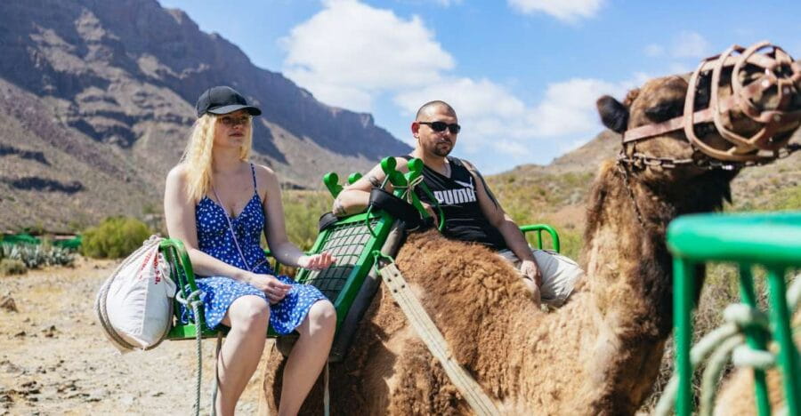 Gran Canaria: Camel Ride Safari w/ Optional Food & Transport - Authenticity and Unique Details from Reviews