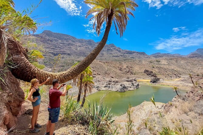 Gran Canaria Cave, Oasis, Red-gorge Adventure & cosy Picnic - Price and Logistics: Is It Worth It?